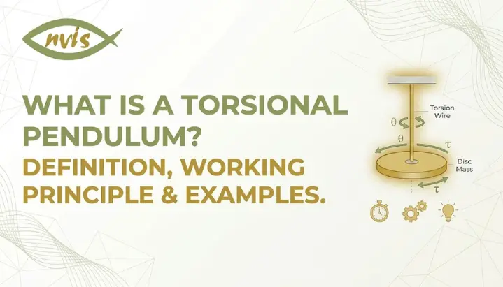 Torsional Pendulum Definition, Working Principle & Examples