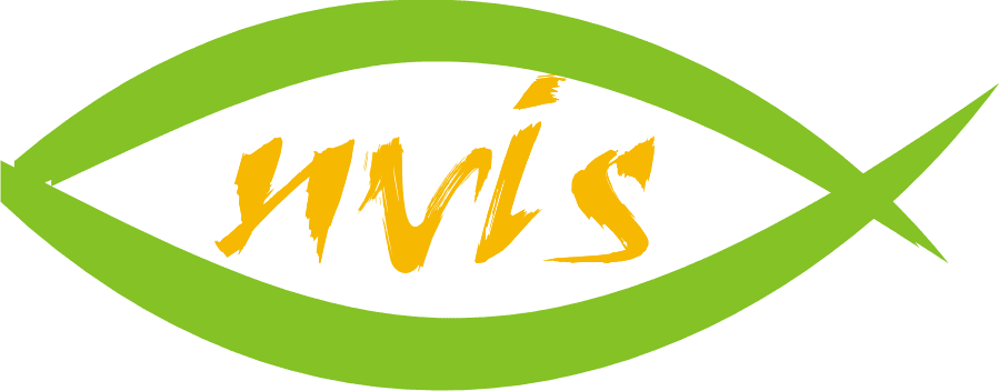 Nvis
